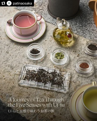 UFFU様　ご確認専用ページ241130 Uf-fu | 紅茶専門店 ウーフ