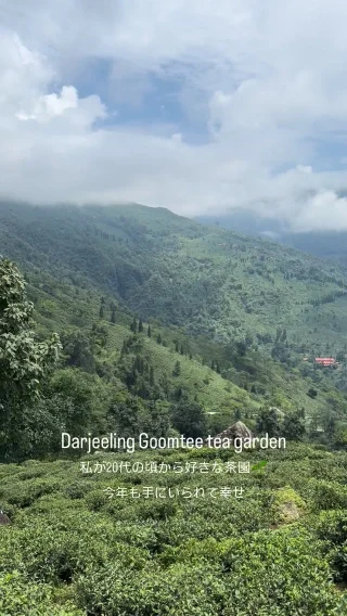 UFFU様　ご確認専用ページ241130 B.V.D.GOLD 天スパンビキニブリーフ S/M/L/LL G030 | フジボウアパレル